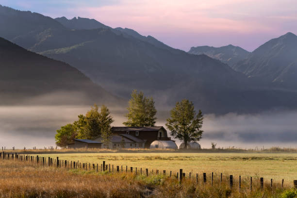 istock Colorado ranch during the morning with mist 1432603109