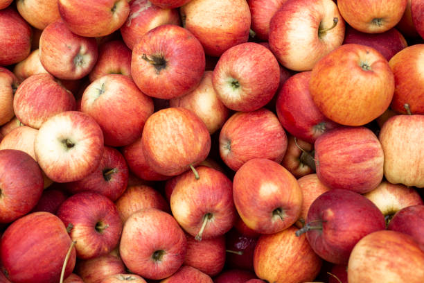 istock Background with fresh red apples. Top view, flat lay 1432603885