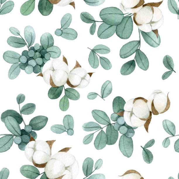 aquarellzeichnung. nahtloses muster mit eukalyptusblättern und baumwollblüten auf weißem grund - cotton flower textile textile industry stock-grafiken, -clipart, -cartoons und -symbole