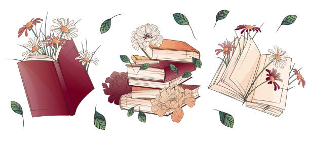 ilustraciones, imágenes clip art, dibujos animados e iconos de stock de conjunto de ilustración vectorial de libros con flores. flor de margarita. - chamomile entertainment nature leaf