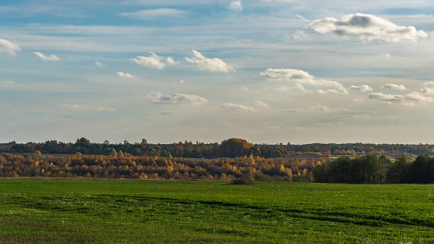 istock Landscape with autumn colours of trees and grass. 1432615892