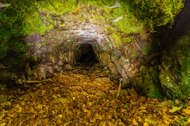 istock Autumn walk on the high trail of the Thuringian Forest 1432619196