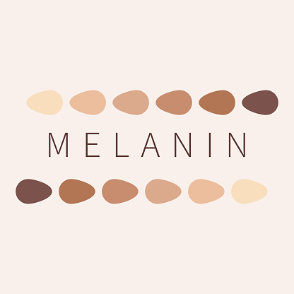 Melanin color palette scheme from light to dark brown. Skin tanning process diagram. Skin complexion diversity. Fitzpatrick skin type classification scale. Beauty concept design. Vector illustration