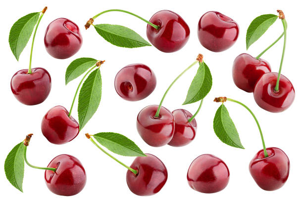 cherry isolated on white background, full depth of field, clipping path stock photo