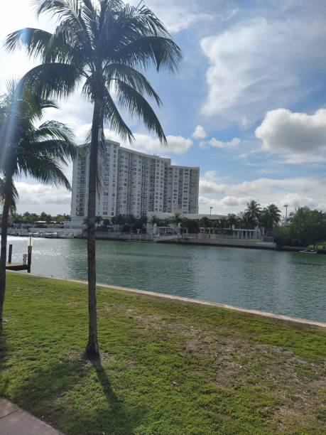 380+ Fotos, Bilder und lizenzfreie Bilder zu Florida Bay Fotos iStock