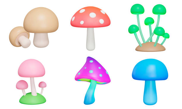 illustrazioni stock, clip art, cartoni animati e icone di tendenza di set di icone 3d a fungo. vari funghi. illustrazione vettoriale. icone isolate, oggetti su sfondo trasparente - fungus mushroom autumn fly agaric mushroom