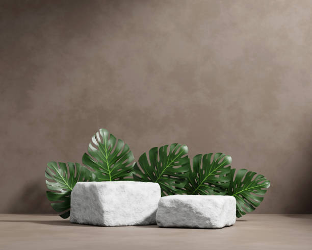 istock 3D rendering platform podium with monstera plant product presentation background 1432635865
