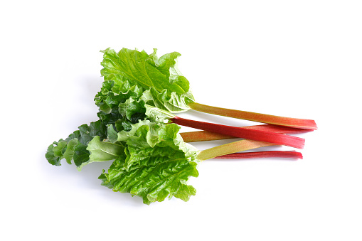 Red and green rhubarb stalks with leaves on a white background. Fresh useful plant from the garden. Rhubarb for making pies, jelly and other dishes.