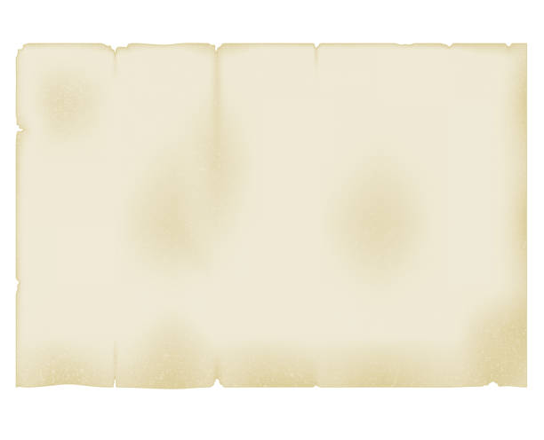 裂けて黄ばんだ縁を持つ羊皮紙の古い部分。白い背景に分離 - scroll paper old yellowed点のイラスト素材／クリップアート素材／マンガ素材／アイコン素材