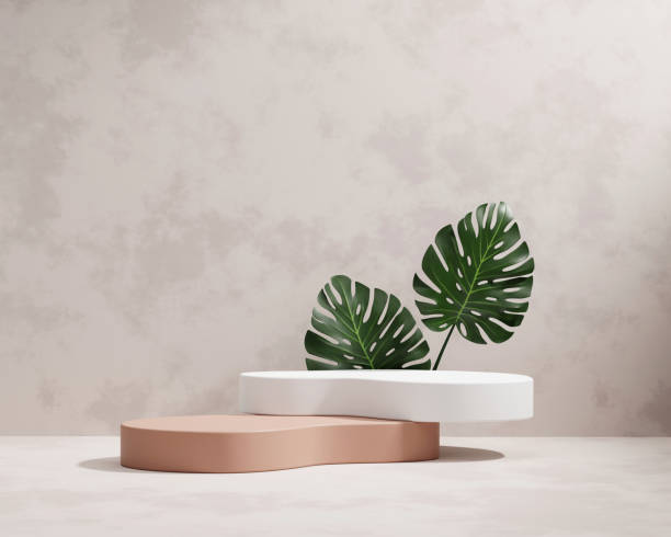 istock 3D rendering platform podium with monstera plant product presentation background 1432637672