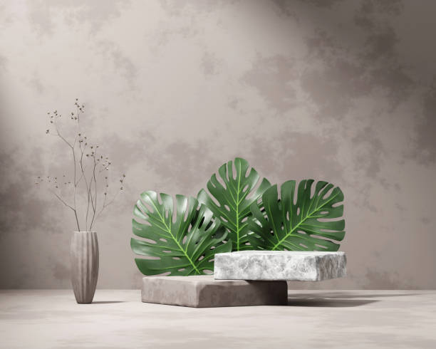 istock 3D rendering platform podium with monstera plant product presentation background 1432639454