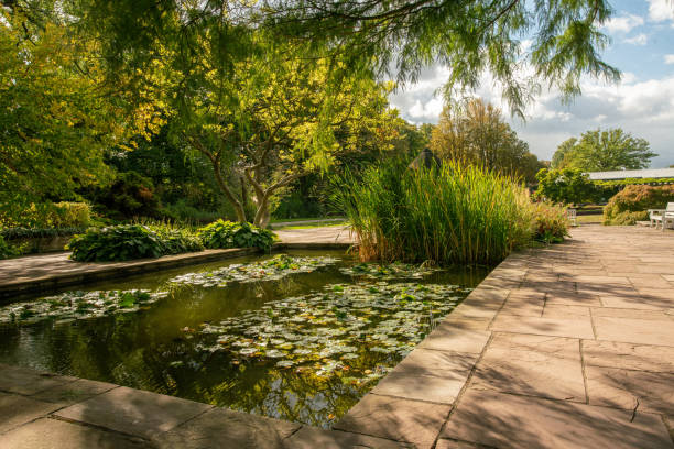 Pond in amazing Stadtpark  in Hanover
