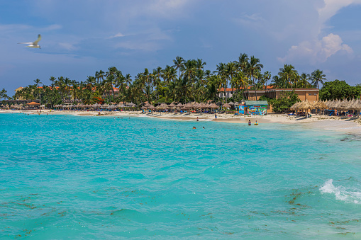 Oranjestad. Aruba. 09.08.2022 Gorgeous view of hotel private beach. Turquoise ocean warer and white sand beach on green palm trees and blue sky background.