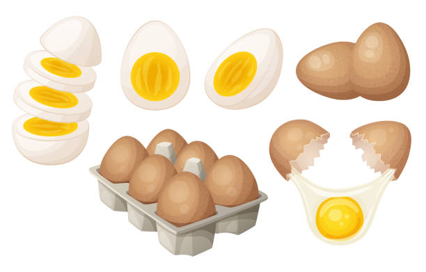 набор яиц на разных этапах приготовления мультяшной иллюстрации. сбор яиц птицы в картонной упаковке, вареных, сырых, половинчатых, рублены - white background freshness variation brown stock illustrations
