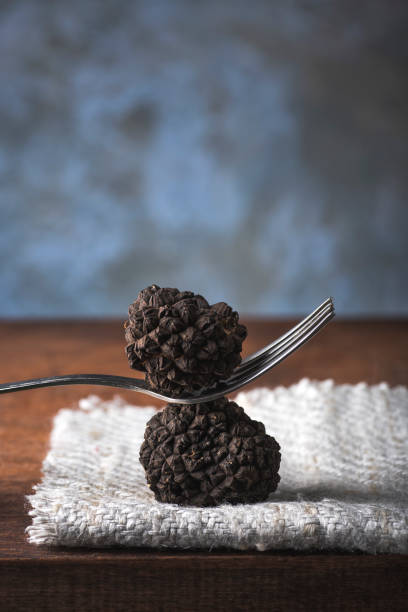 Black truffles with fork, rustic style, selective focus, macro. Season of black truffle. Autumn gourmet cuisine of Piedmont, Northern Italy, Spain and France