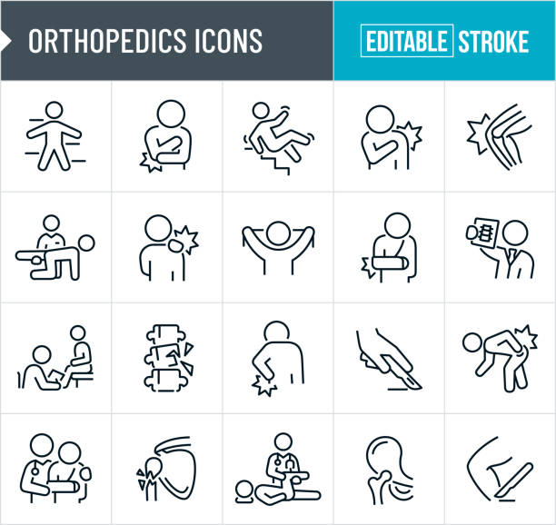 ilustraciones, imágenes clip art, dibujos animados e iconos de stock de iconos de línea delgada de ortopedia - trazo editable - physical therapy human spine symbol medical exam