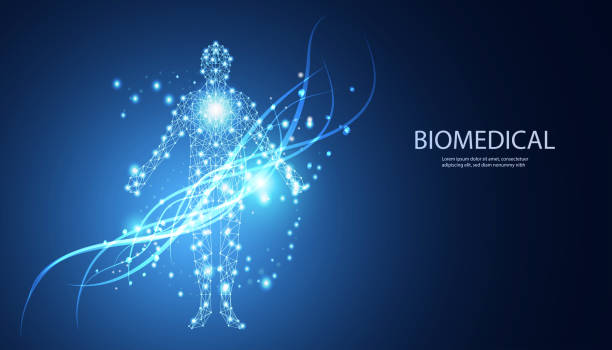 istock abstract technology futuristic concept of digital human body biomedical digital interface future design on hi tech background. 1432656124