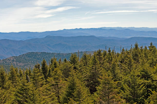 istock Hazy Mountain Ridges in the Smoky Mountains 1432658603