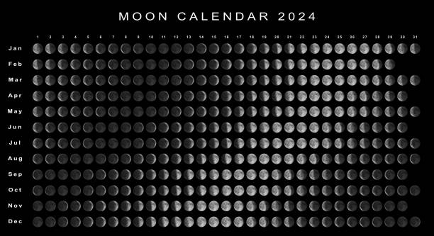 Calendario Lunare 2024 Emisfero Nord - Immagini vettoriali stock e altre  immagini di Calendario lunare - Calendario lunare, 2024, Emisfero  settentrionale - iStock