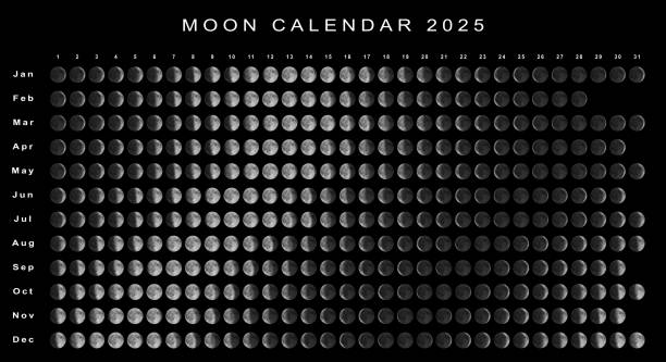 Phases Of The Moon Feb 2025 Olympics - Eliza Hermina