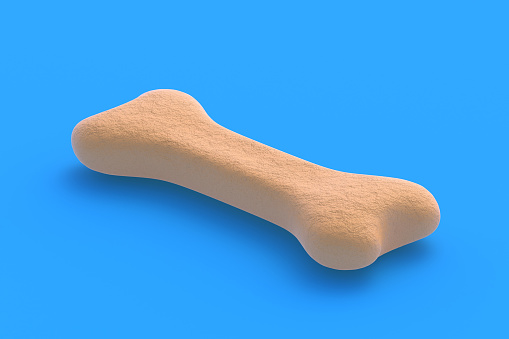 Dog food bone. Luxury canine nutrition. Healthy snack for pet. Toy for animal. 3d render