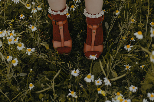 Women's legs in ruffled socks in a field of daisies.