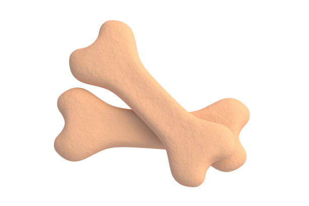 istock Two dog food bones isolated on white background. 3d render 1432659156
