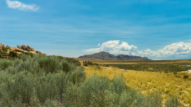istock Antelope Island Great Salt Lake State Park, Utah 1432659176