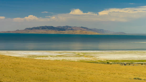 istock Antelope Island Great Salt Lake State Park, Utah 1432659213