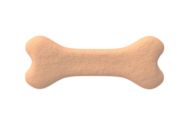 istock Dog food bone isolated on white background. Top view. 3d render 1432659503
