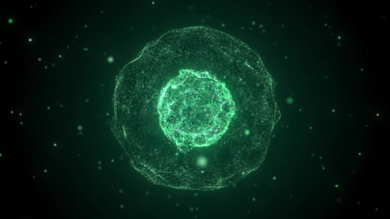 13.600+ Human Cell Structure Video ve Detay Görüntü - iStock