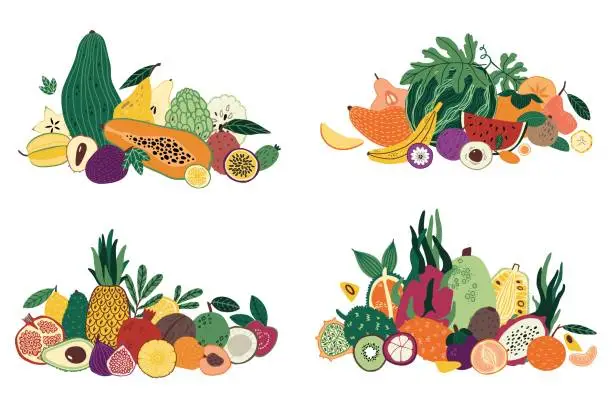 Vector illustration of Fruit mix. Tropical food compositions. Bunch of pineapple, melon and watermelon. Half papaya, whole pomegranate and coconut, piles of various fresh natural sweets. Vector cartoon background