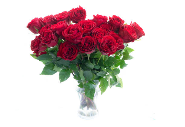 istock Crimson red rose flowers 1432662702