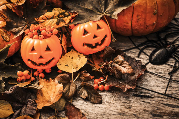 istock Halloween pumpkins and spider on wooden background 1432663215