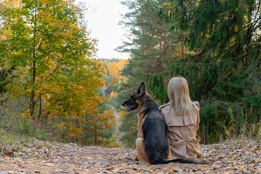 Back view of sitting woman and dog in autumn wood on the mountain