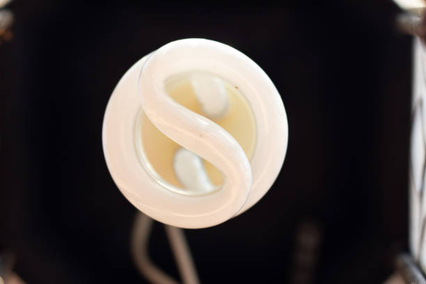 A hanging lightbulb by the door