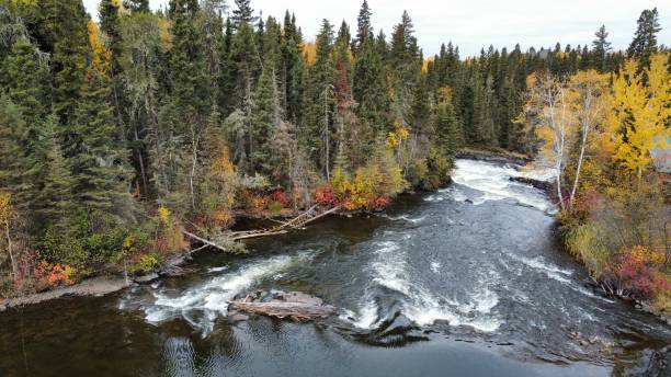 湖の木々と反射 - 北マニトバ州 - カナダ - manitoba north lake canada ストックフォトと画像