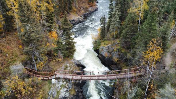 Trees, bridge and river - North Manitoba - Canada
