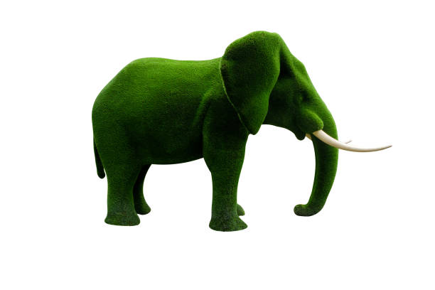 istock elephant made of grass isolated on white background 1432668176