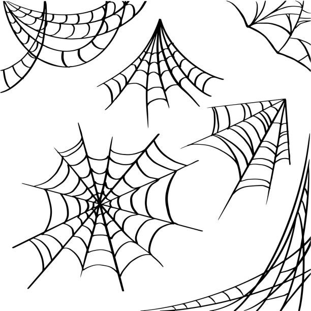 1,000+ Spider Web Corner Drawing Stock Illustrations, Royalty-Free Vector  Graphics & Clip Art - iStock