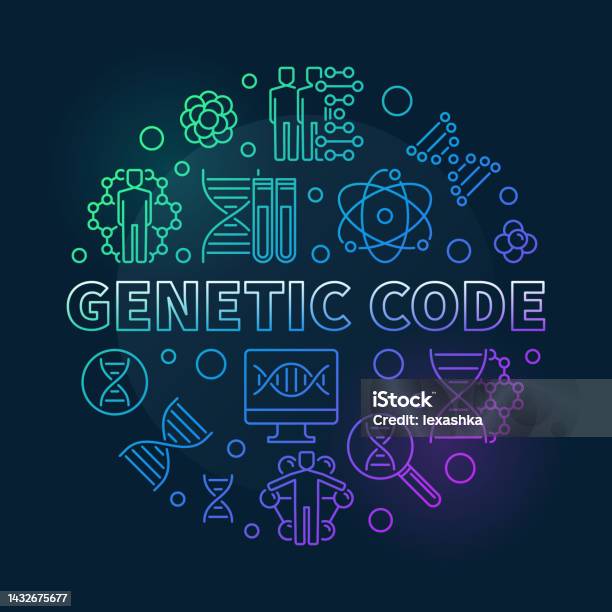 Genetic Code Development Genetic Code Vector Round Colored Outline Illustration Stock ...