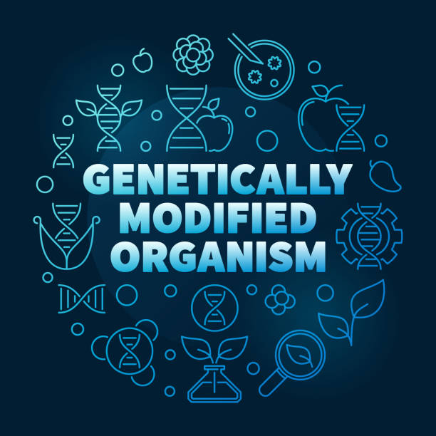 ilustraciones, imágenes clip art, dibujos animados e iconos de stock de ilustración azul de la línea vectorial de organismos modificados genéticamente - genetic modified organism