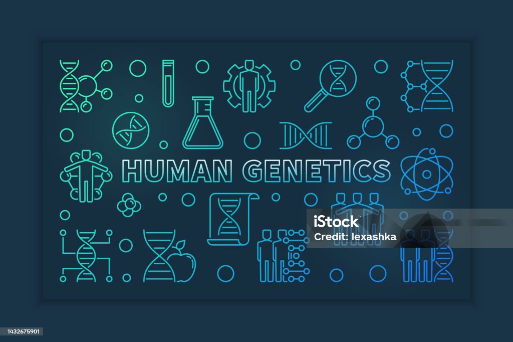 Human Genetics Inforgraphic Human Genetics Vector Colorful Linear Horizontal Illustration Stock ...