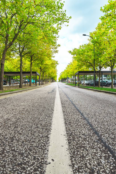Low view of empty road Low view of empty road empty road with trees stock pictures, royalty-free photos & images