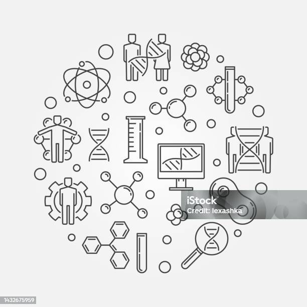 Human Genetic Modification Vector Round Linear Illustration Stock ...