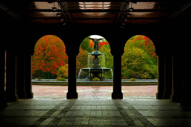 Photo of Autumn in Central Park