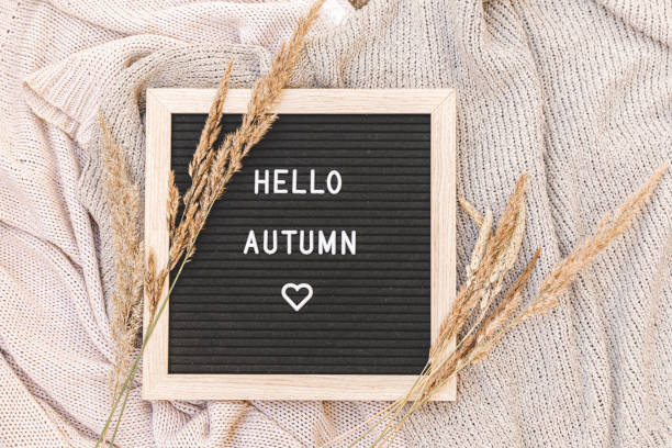 istock Autumnal Background. Black letter board with text phrase Hello Autumn and dried grass lying on white knitted sweater. Top view, flat lay. Thanksgiving banner. Hygge mood cold weather concept 1432679532