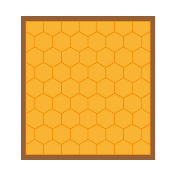 ilustraciones, imágenes clip art, dibujos animados e iconos de stock de marco de nido de abeja naranja. comida dulce. lindo fondo de pantalla de caramelo. ilustración vectorial. imagen de archivo. - honey hexagon honeycomb spring