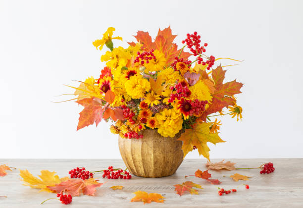 istock autumnal bouquet in ceramic vase on white background 1432682754