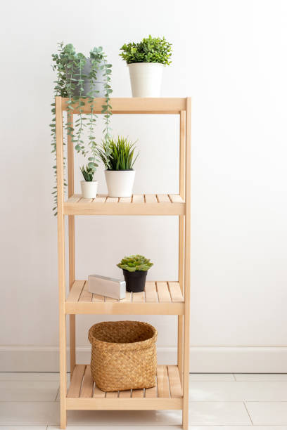 istock Various artificial succulents plants stand in white ceramic pots on a wooden shelf against a white wall. 1432687070